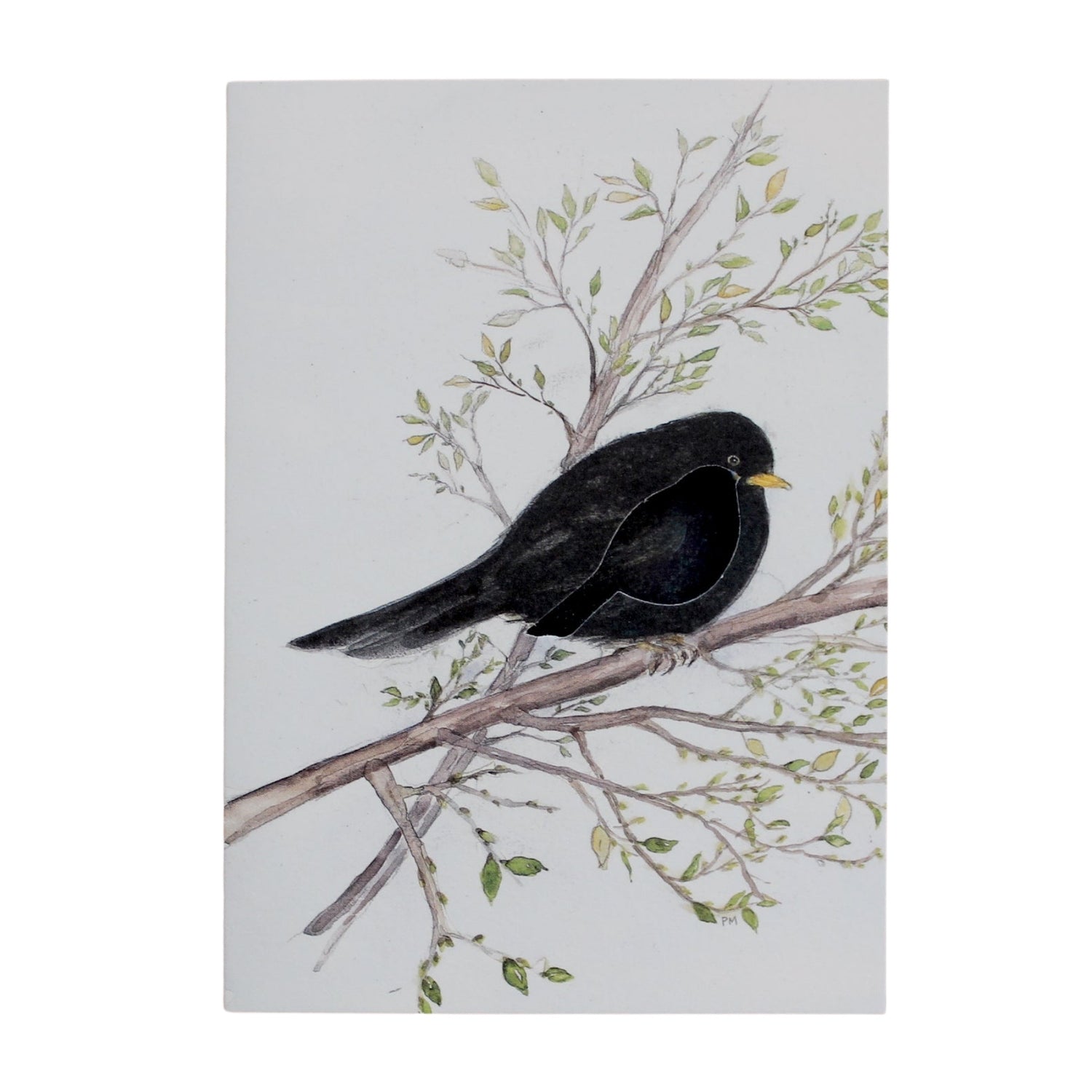 Klappkarte Amsel