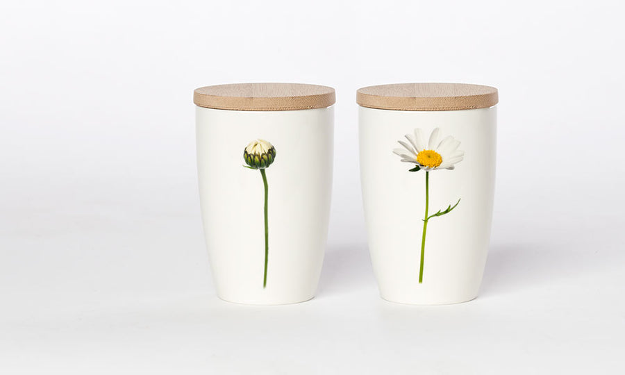 Simply Flowers Becher Margerite